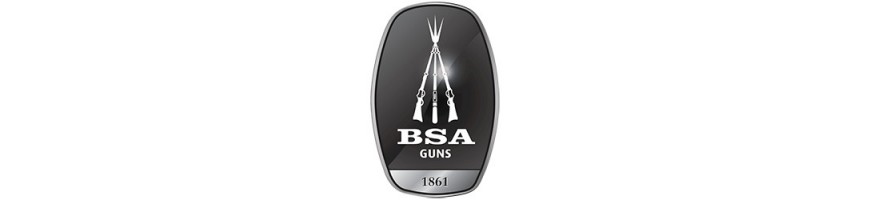 THE LARGEST SELECTION OF BSA Guns Accessories 